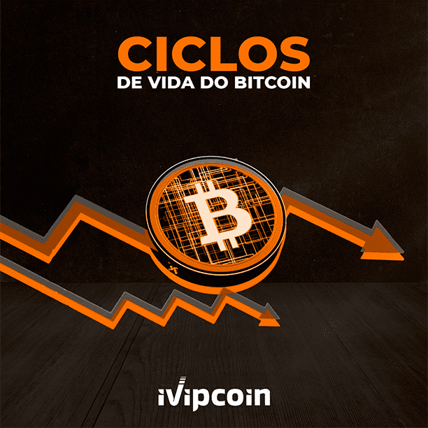 Qual e o significado do ciclo de vida do bitcoin