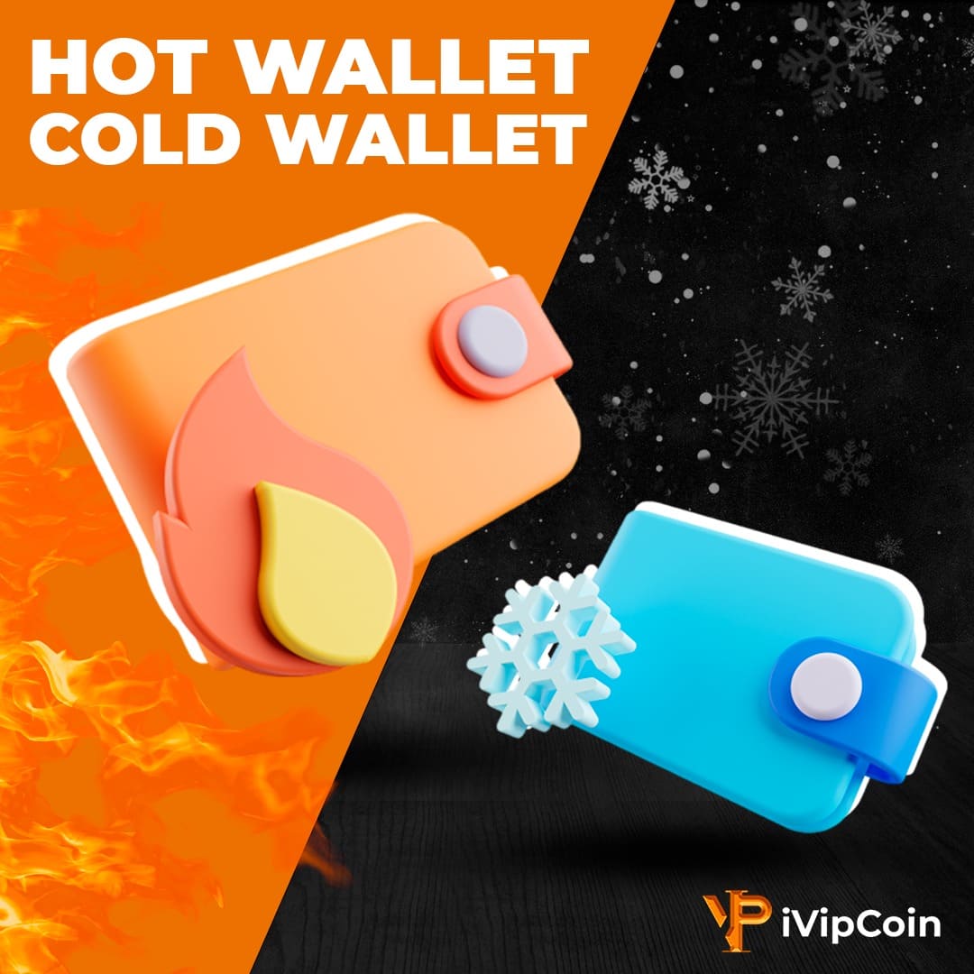 Hot Wallet e cold Wallet